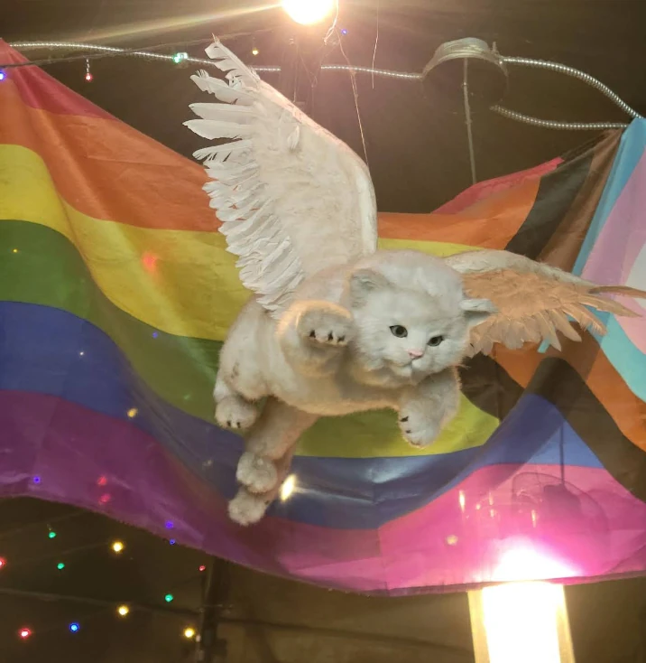 Playful winged cafe art displayed near colourful flags inside Bump N Grind Cafe